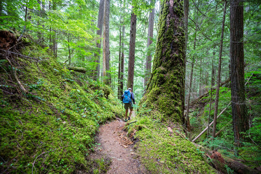 Guests Love Visiting Sam Houston National Forest During Their Stay at Willis RV Resort