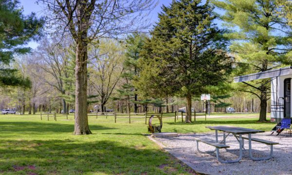 Unforgettable Family Adventures at Willis RV Resort – A Top RV Campground Near The Woodlands, TX