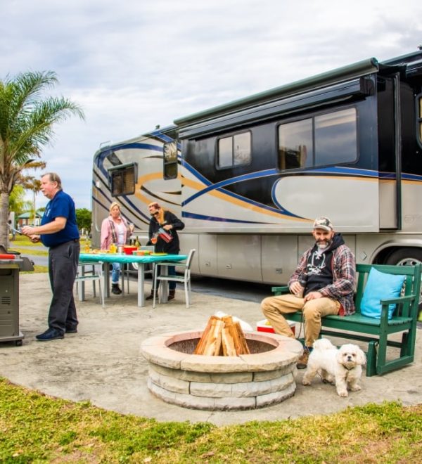 What You Can Experience in One Stay at Willis RV Resort—From Pool Days to Forest Trails