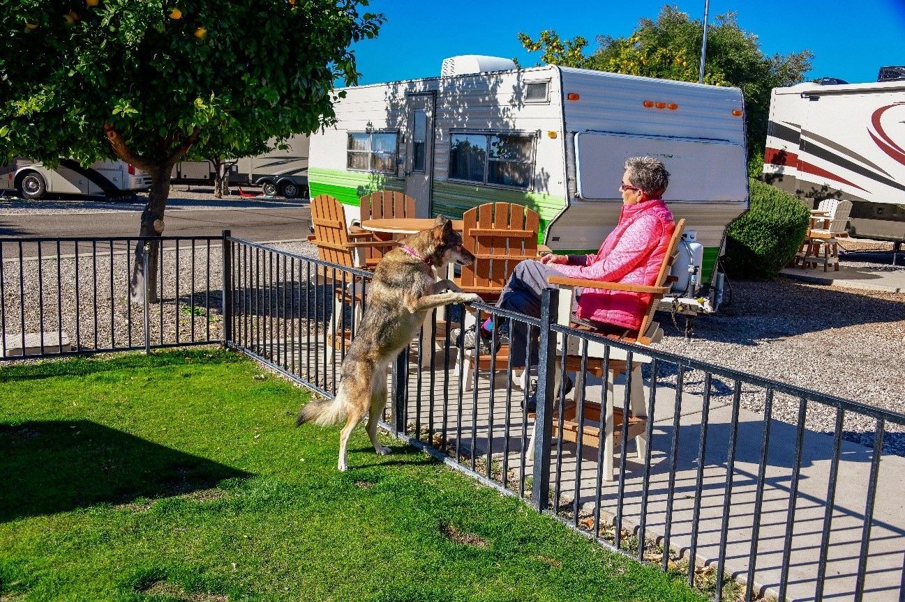 Why Pet Parents and Travelers Love the Convenience of Our Willis RV Resort Dog Walk Area in Willis, TX