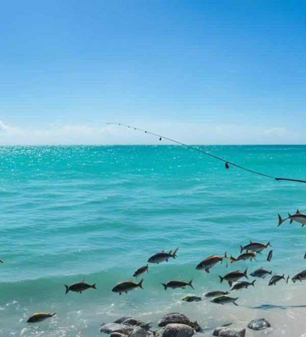 What to Pack for an RV Fishing Trip: Essentials for Anglers Staying in East Texas
